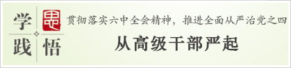 学思践悟：从高级干部严起