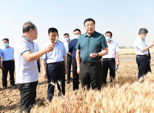 马富国调研“三夏”生产和农村人居环境整治工作