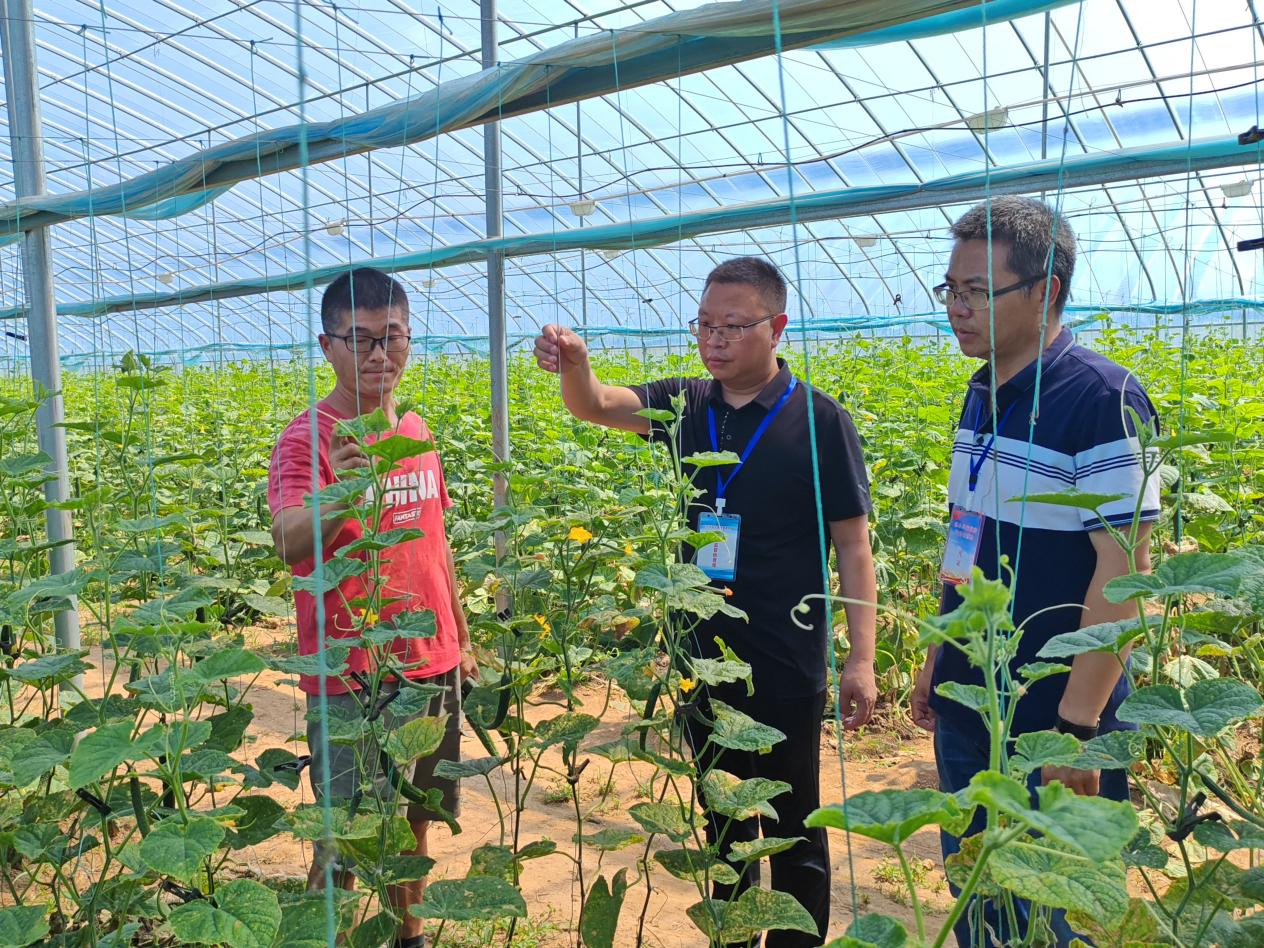 镜头丨正风肃纪护航乡村振兴