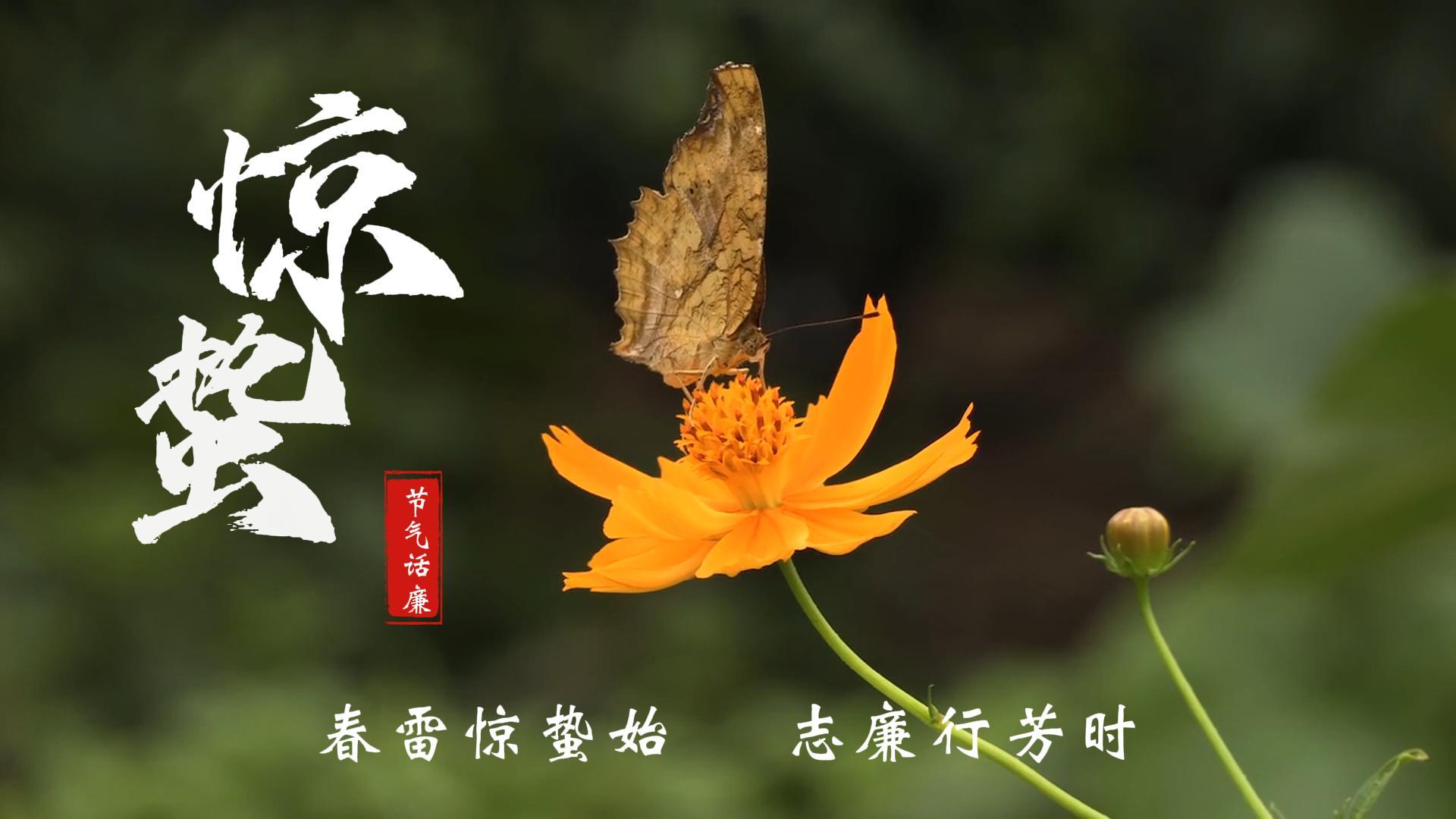 节气话廉|惊蛰：春雷惊蛰始 志廉行芳时
